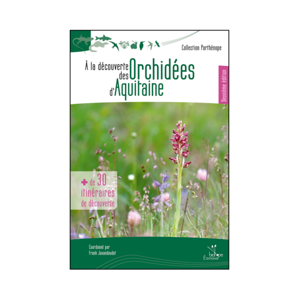 À la découverte des Orchidées d'Aquitaine