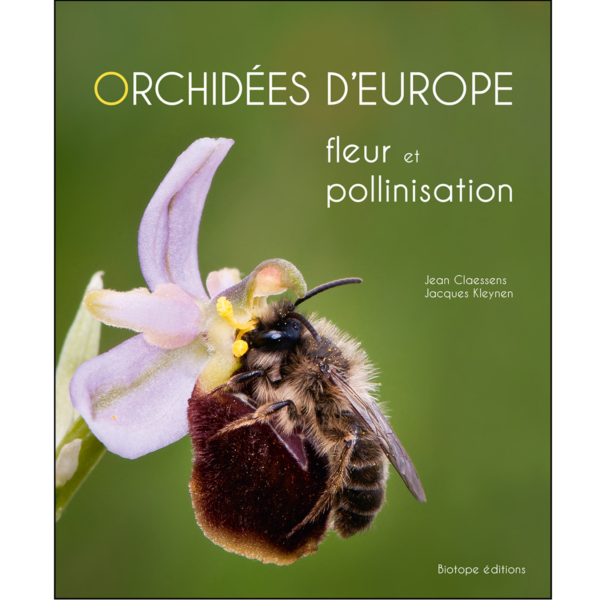 Orchidées d'Europe - Fleur et pollinisation